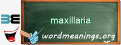 WordMeaning blackboard for maxillaria